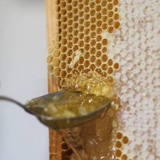 3Bees Honey Honey Comb