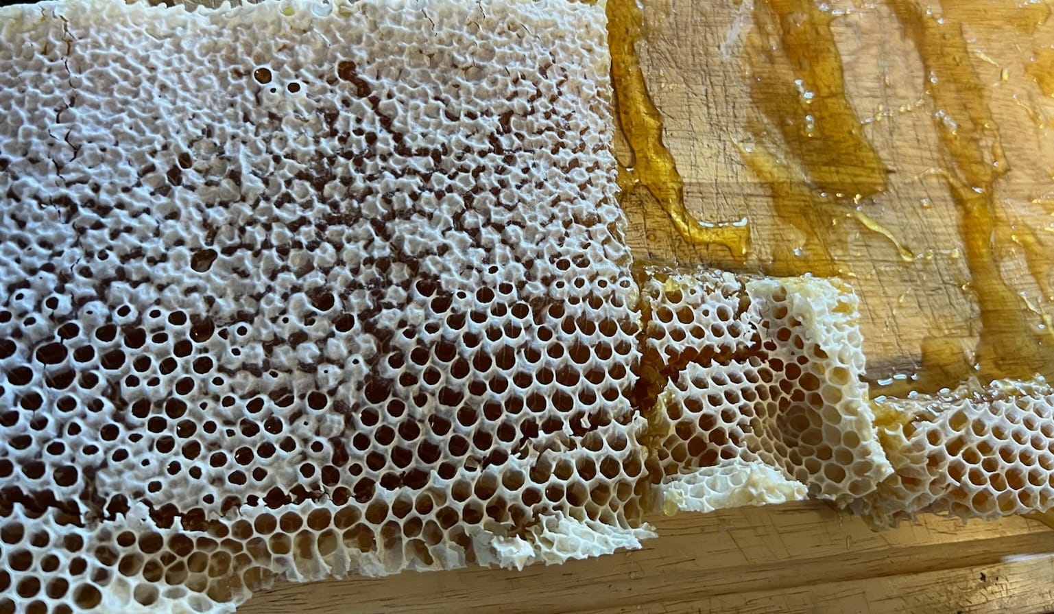 3Bees Honey Honey Comb